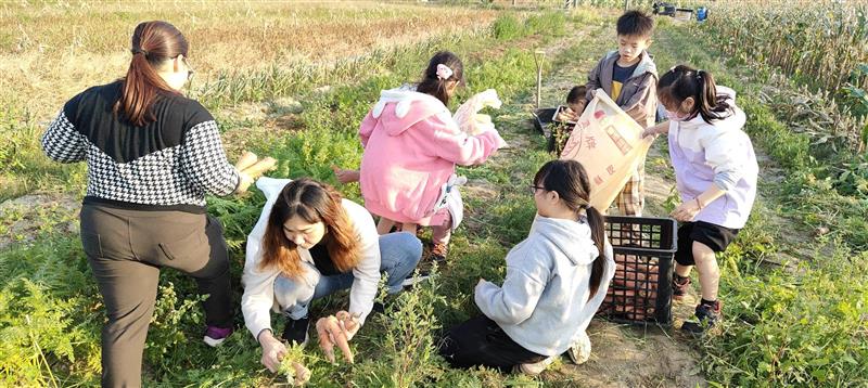 田野奔跑的童年約定